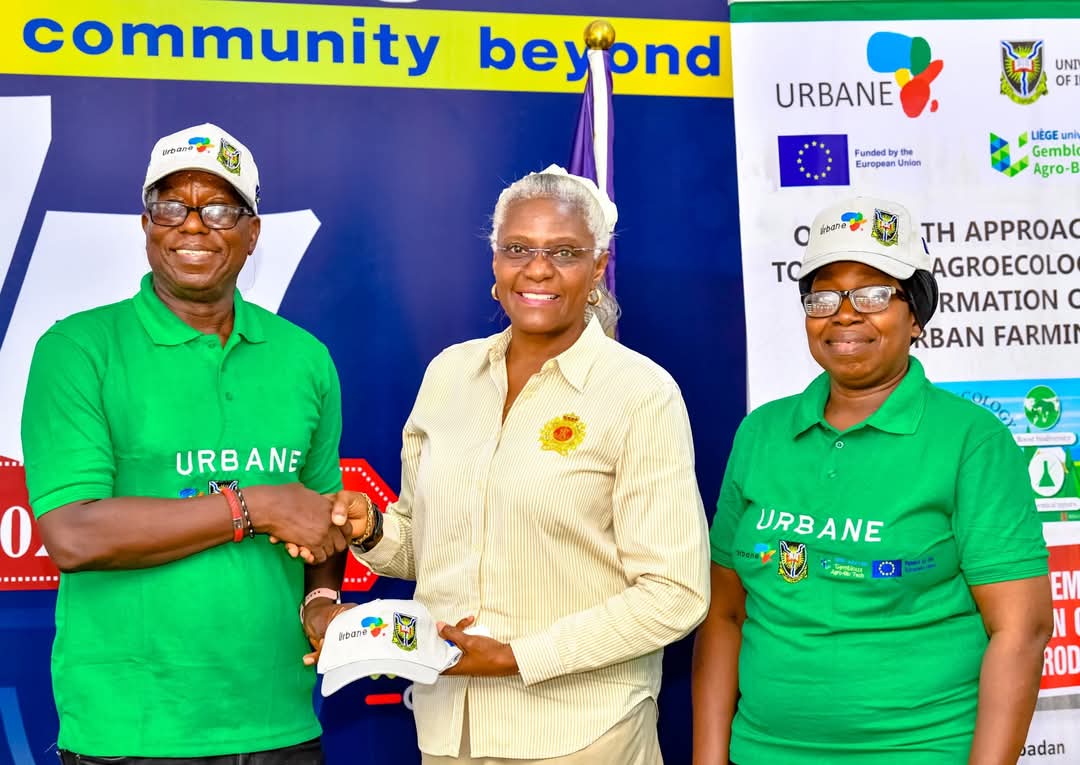 URBANE Project 8