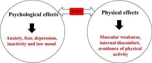 amiloride antagonizes behavioural responses in